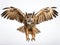 Ai Generated illustration Wildlife Concept of of Eurasian Eagle-Owl