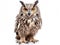 Ai Generated illustration Wildlife Concept of of Eurasian Eagle-Owl