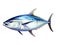 Ai Generated illustration Wildlife Concept of Fresh tuna fish isolated