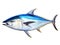 Ai Generated illustration Wildlife Concept of Fresh tuna fish isolated