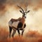 Ai Generated illustration Wildlife Concept of Gemsbok antelope