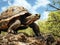 Ai Generated illustration Wildlife Concept of Giant Tortoise