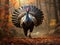 Ai Generated illustration Wildlife Concept of Gobbler Strut