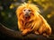 Ai Generated illustration Wildlife Concept of Golden lion tamarin