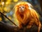 Ai Generated illustration Wildlife Concept of Golden lion tamarin