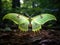 Ai Generated illustration Wildlife Concept of Luna moth