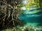 Ai Generated illustration Wildlife Concept of Mangrove trees roots above and below the water