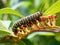 Ai Generated illustration Wildlife Concept of Monarch caterpillar on milkweed