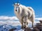 Ai Generated illustration Wildlife Concept of Mountain Goat Against a Clear Blue Sky