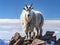 Ai Generated illustration Wildlife Concept of Mountain Goat Against a Clear Blue Sky