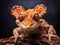 Ai Generated illustration Wildlife Concept of New Caledonian Crested Gecko