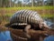 Ai Generated illustration Wildlife Concept of Nine-banded Armadillo