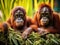 Ai Generated illustration Wildlife Concept of Orangutans