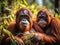 Ai Generated illustration Wildlife Concept of Orangutans