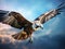 Ai Generated illustration Wildlife Concept of Osprey in flight