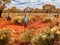 Ai Generated illustration Wildlife Concept of Outback Emus