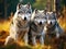Ai Generated illustration Wildlife Concept of Pack Three of European Grey Wolves