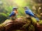 Ai Generated illustration Wildlife Concept of Pair of Eastern Bluebird