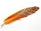 Ai Generated illustration Wildlife Concept of Pheasant feather