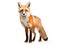 Ai Generated illustration Wildlife Concept of Red fox Vulpes vulpes standing isolated