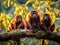 Ai Generated illustration Wildlife Concept of Red Howler Monkey