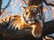 Ai Generated illustration Wildlife Concept of Siberian or Amur tiger