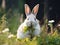 Ai Generated illustration Wildlife Concept of Snowshoe Hare feeding on grass