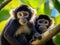 Ai Generated illustration Wildlife Concept of and Spider Monkeys Costa Rica