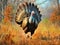 Ai Generated illustration Wildlife Concept of Strutting wild turkey