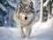 Ai Generated illustration Wildlife Concept of Super close picture of timber wolf in snow