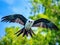 Ai Generated illustration Wildlife Concept of Swallow-tailed Kite