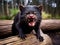 Ai Generated illustration Wildlife Concept of Tasmanian Devil