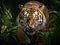 Ai Generated illustration Wildlife Concept of Tiger stalking prey