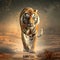 Ai Generated illustration Wildlife Concept of Tiger walking on the gravel road. Wildlife India