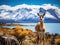 Ai Generated illustration Wildlife Concept of Torres del Paine Patagonia Chile