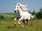 Ai Generated illustration Wildlife Concept of White horse runs gallop