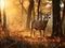 Ai Generated illustration Wildlife Concept of Whitetail Deer Buck