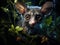 Ai Generated illustration Wildlife Concept of Wild Galago (Bush Baby) in the dark