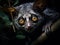 Ai Generated illustration Wildlife Concept of Wild Galago (Bush Baby) in the dark