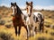 Ai Generated illustration Wildlife Concept of Wild mustang pinto paint horse mare colt foal nature