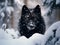 Ai Generated illustration Wildlife Concept of Wolf in snowy Bavarian forest