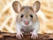Ai Generated illustration Wildlife Concept of Wood mouse looking up