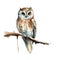 AI generated illustration of a wise owl perched atop a branch of a tree on a white background