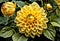 AI generated illustration of yellow dahlia flowers on a green shrub