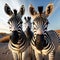 AI generated illustration of zebras standing in a desert landscape, looking directly at the camera