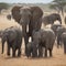 AI generated image a herd of elephants and cubs in an African forest