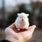 AI-Generated Image of a Miniature White Rabbit on a Human Finger