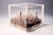 AI generated image of NYC closed in glass cube