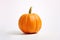 AI generated image of perfect pumpkin in studio over white