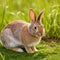 AI-generated image presents a captivating close-up of a rabbit in a lush field